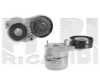 CALIBER 27160 Belt Tensioner, v-ribbed belt